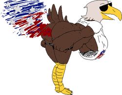 1girls american_flag anthro avian bent_over bird eagle fart female flag flatus humor loose_shirt lowres no_bra panties_around_thighs panties_down sideboob slightly_chubby smell solo sunglasses underboob