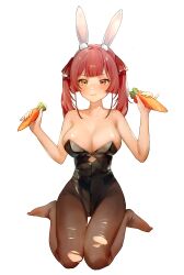 houshou marine from hololive by g li