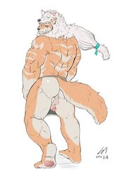 anthro ass balls canine clothing colored loincloth male male_only mammal muscular nude penis simple_background solo white_background xsrwe12