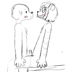 andrew_(fieldfield) anthro blush borzoi canid canine canis domestic_dog duo embarrased_horny embarrassed embarrassed_male eye_contact fieldfield fluffy fluffy_chest frottage fur gay genitals hi_res hunting_dog leg_grab looking_at_another male male/male male_only mammal murid murine pancake_luvr4000 penile penis penises_touching rat rodent sex sighthound sitting sitting_on_counter small_penis striped_body striped_fur stripes thigh_grab zuri_the_rat