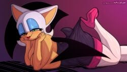rouge the bat from sega by hmiokun