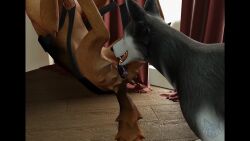 16:9 1boy 1girls 2024 3d 3d_(artwork) 3d_animation anatomically_correct anatomically_correct_genitalia anatomically_correct_penis anatomically_correct_vulva animal_genitalia animal_penis animal_vulva animated animation anus ass balls blender_(artwork) bodily_fluids brown_body brown_fur canid canine canine_genitalia canine_penis canine_pussy canine_vulva canis claws cum cum_in_vagina cum_inside cunnilingus detailed_background digital_media_(artwork) digitigrade domestic_dog duo erection female female_penetrated feral feral_on_feral feral_penetrated feral_penetrating feral_penetrating_feral french_kissing fur furry genital_fluids genitals german_shepherd herding_dog hi_res hot_dogging huge_filesize husky inside jl017_(sound) kaerfflow kissing knot long_playtime macstar_(va) male male/female male_penetrating male_penetrating_female mammal moan moaning moaning_in_pleasure nordic_sled_dog nude oral pastoral_dog paws penetration penile penile_penetration penis penis_in_vagina pussy pussy_juice quadruped romantic romantic_couple sex sound sound_warning spitz tagme tail tongue vaginal_penetration video voice_acted vulva white_body widescreen