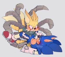 sonic the hedgehog from sega by the big yikes