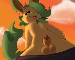 animal_genitalia animal_penis anthro balls bottomwear bottomwear_down brown_body brown_fur canine_genitalia canine_penis clothed clothing cloud crossdressing crossdressing_(mtf) crossdressing_male eeveelution femboy fur gay gay_anal gay_male gay_sex generation_4_pokemon genitals green_body green_ears green_fur green_tail half-closed_eyes hi_res homosexual homosexual_male homosexual_sex leaf leaf_tail leafeon looking_down male male/male male_only male_penetrated male_penetrating male_penetrating_male multicolored_body narrowed_eyes nintendo one_eye_obstructed orange_sky pants pants_down partially_clothed penis penis_tip pokemon pokemon_(species) red_penis sheath simple_background sky smile solo tail tan_body tan_fur text tongue tongue_out two_tone_body yasterwolly