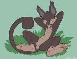 1boy alolan_form alolan_rattata animal_genitalia anthro armpits arms_behind_head brown_fur feet fur furry grass looking_at_viewer male male_only nintendo no_nipples nude penis pokémon_(species) pokemon pokemon_sm rattata red_eyes rodent sheath shiuk sitting soles solo spread_legs tail testicles toes video_games whiskers