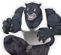 abs black_jaguar bottomless clothed clothing debirobu disney feline flaccid jaguar looking_at_viewer male male_only mammal muscular pecs penis renato_manchas simple_background solo white_background zootopia