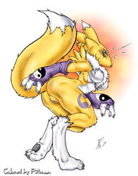 digimon digimon_tamers female furry pittman renamon