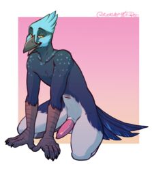 2017 5_fingers anthro arm_support athletic avian beak bedroom_eyes biped bird black_claws blue_feathers border claws countershade_face countershade_torso countershading cyan_feathers erection facial_markings feather_tuft feathers front_view full-length_portrait gradient_background grey_beak grey_skin half-closed_eyes head_tuft humanoid_hands kneeling leaning leaning_forward looking_away male male_only markings multicolored_feathers nude open_mouth outside_border penis pink_background pink_penis portrait pose raised_eyebrows rokemi seductive signature simple_background sitting smile solo tail_feathers tallow talons tapering_penis tuft white_countershading white_feathers wren yellow_background yellow_eyes