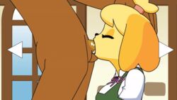 1girls animal_crossing animated anthro black_eyes blonde_hair bouncing_breasts breasts canine cute dark-skinned_male deep_throat deepthroat_facesitting deepthroat_no_hands eyelashes faceless_male fast female first_deepthroat fur hand_on_head human innocent isabelle_(animal_crossing) kneeling male mammal minus8 nintendo oral oral_penetration oral_sex penetration penis rolling_eyes screencap sex straight surprised swallowing_bulge swallowing_cum swallowing_penis_while_deepthroat sword_swallowing_position teenager throat_abuse throat_barrier throat_bulge throat_fuck throat_penetration throat_pounding thrusting thrusting_into_mouth tied_hair tight_throat tongue_out video_games yellow_fur