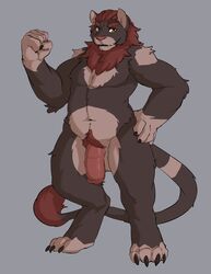 1boy 2013 4_toes 5_fingers anthro armond barefoot biceps brown_eyes brown_fur brown_hair chest_tuft claws digitigrade feet feline fist flaccid front_view fur furry grey_background hair half-erect hand_on_hip hi_res humanoid_penis large_penis lion looking_at_viewer male male_only mammal markings medial_ring multicolored_fur muscular navel nude overweight penis pink_nose pose presenting pubic_hair seth-iova simple_background socks_(marking) solo standing tail_tuft testicles thick_penis toes tuft two_tone_fur