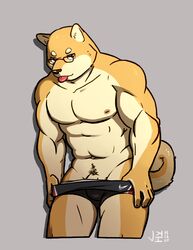 5_fingers body_hair boxers canine eyewear furry glasses happy_trail jeck male male_only mammal muscular navel nipples penis penis_base shiba_inu signature simple_background solo tongue tongue_out underwear undressing