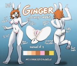 2016 anoddscot anthro ass buckteeth clitoris english_text female front_view fur ginger hair inner_ear_fluff lagomorph looking_at_viewer mammal model_sheet nipples open_mouth orange_hair paws pink_nipples pussy rabbit rear_view simple_background smile solo standing teeth text white_fur yellow_eyes