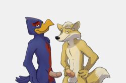 anthro arched_back avian balls beak canine erection falco_lombardi fox fox_mccloud half-length_portrait hands_on_hip humanoid_penis looking_at_viewer male male_only mammal nintendo nude paintfox penis portrait smile star_fox video_games white_balls