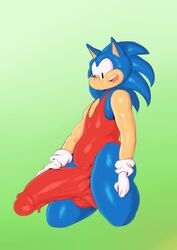 1boy bare_shoulders belly black_eyes blue_fur bulge erection furry gloves hedgehog hyper_penis male male_only milkbreaks moonrze penis solo sonic_(series) sonic_the_hedgehog