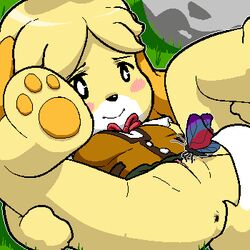 animal_crossing animal_ears anus bangs black_nose bloggerman blush blush_stickers butterfly canine cute dog dog_ears dog_tail female female_only furry insects isabelle_(animal_crossing) lowres lying nintendo on_back pussy smile solo spread_legs tagme tail uncensored yellow_fur