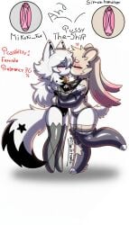 mikoki fox from kit community