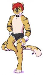 2016 Rule 34 Image