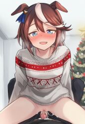 tokai teio (umamusume) from umamusume