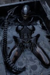 female xenomorph from alien (franchise)
