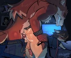 2026 anal anal_sex anthro ass balls bed belt blush bodily_fluids bottomwear bracelet brown_hair canid canine canis closed_eyes clothed clothing colored cum denim denim_bottomwear denim_clothing digital_drawing_(artwork) digital_media_(artwork) duo electronics english_text epic_games erection fangs fortnite framed_picture fur furniture gay genital_fluids genitals hair heart_eyes heart_symbol hedge_(stickyhedge) hi_res hug hugging_object hugging_pillow inner_ear_fluff jeans jewelry knot leash long_hair lycan_west_(fortnite) male male/male male_penetrated male_penetrating male_penetrating_male mammal monitor multicolored_body multicolored_fur muscular my_chemical_romance_(merch) narrowed_eyes on_bed pants penetration penis pillow sex shaded shirt squint stickyhedge tail tail_motion tailwag teeth text topwear torn_bottomwear torn_clothing torn_jeans torn_pants tuft werewolf wolf