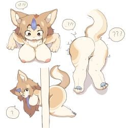 bodily_fluids breasts canid canine confusion female genitals hi_res mammal pasong pussy scared solo stuck sweat through_wall