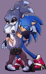 1boy 1girls anthro anthro_on_anthro anthro_only black_sclera blue_fur female frostbite_(saiyafox) half-closed_eyes male nicole_chees oc penis sonic_(series) sonic_the_hedgehog sonic_the_hedgehog_(series) standing tagme