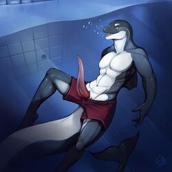 1boy 2016 anthro cetacean erection hi_res male male_only marine nude open_mouth orca ozi-rz penis smile solo tongue water