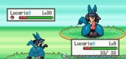 2boys anthroemerald anus ass balls blush canine_penis dog_pose femboy gameplay_screenshot huge_ass huge_balls huge_cock hung_bottom hung_femboy hung_trap kneeling knot lucario male mod on_knees penis pixel_art pleading pokemon pokemon_(species) pokemon_anthro_emerald sprite tongue_out