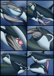 2025 anal animal_genitalia animal_penis belly big_belly black_body black_border blue_body bodily_fluids border cetacean cetacean_genitalia cetacean_penis comic cum dolorcin dolphin erection female feral fin genital_fluids genitals grey_body group hi_res male mammal marine oceanic_dolphin oral oral_vore orca penis sex tapering_penis toothed_whale underwater vore water white_body