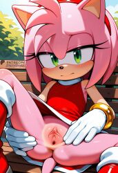 amy rose from sonic (series) by furryguyai