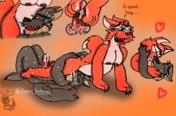 anthro ass bodily_fluids breasts butt_grab canid canine canis clitoris clitoris_piercing cunnilingus diane_foxington dreamworks duo english_text eyebrow_piercing facial_piercing feet female foot_fetish foot_play footjob fox genital_piercing genitals good_boy hand_on_butt hi_res kiss_on_lips knot looking_pleasured making_out male male/female mammal mr._wolf_(the_bad_guys) nipple_piercing nipples oral paw_job paws penis piercing scrabber_(artist) sex sweat text the_bad_guys vaginal_penetration vein veiny_knot wolf