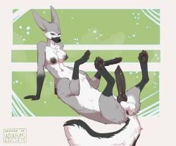 2025 4_toes 6:5 animal_genitalia animal_penis araivis-edelveys areola ass balls breasts canid canid_taur canine canine_genitalia canine_penis canine_taur claws countershade_fur countershade_torso countershading digital_media_(artwork) erection feet fennec_fox fennec_fox_taur finger_claws fingers fox fox_taur fur futanari genitals green_eyes grey_body grey_fur grey_tail hi_res intersex knot knotted_penis looking_at_viewer lying mammal mammal_taur nipples on_back pawpads paws penis simple_background smile solo solo_futa tail taur toe_claws toes true_fox