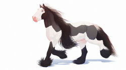 1boy 2015 animal_genitalia animal_penis black_fur blue_eyes chistokrovka draft_horse equine equine_penis feathering feral fully_sheathed fur gypsy_vanner horse horsecock male male_only mammal mane multicolored_fur quadruped shadow sheath simple_background solo two_tone_fur walking white_background white_fur zoophilia