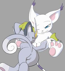 2girls abstract_background alolan_form alolan_meowth anthro anus armpits ass claws clitoris colored crossover cunnilingus digimon ear_tuft edit feet felid feline felis female female_only feral fur furry furry_only gatomon gloves grey_background grey_fur hi_res long_tail mammal meowth naked nintendo nude oral pawpads paws pokémon_(species) pokemon pussy sex simple_background tail tuft vaginal_penetration vulapa white_fur yuri