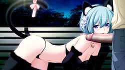 animal_ears bench cat_ears chloe fellatio night oral penis small_breasts uncensored underwear