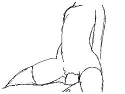 3ds animated faceless female flipnote_studio loop male nintendo penis practice pussy sex video_games