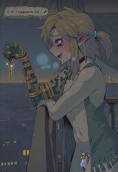 link from nintendo by luxica