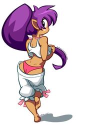 ass_cleavage back_view baggy_pants butt_crack embarrassed female furboz loose_clothes pajamas panties pants_down pink_panties purple_hair sagging_pants shantae shantae_(character) smooth_skin solo wardrobe_malfunction