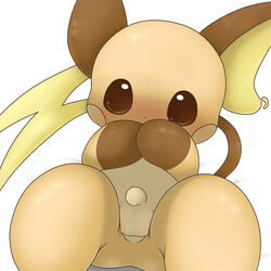 1boy balls chibi covering_face cute flaccid male male_only nintendo penis pokemon pokemon_(species) raichu schnecken shy solo uncut video_games