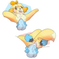 2016 animal_crossing anthro balls blush breasts canine cum duo eeekay female fur isabelle_(animal_crossing) male mammal nintendo nipples open_mouth penetration penis pussy simple_background smile straight video_games yellow_fur