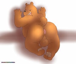 anthro anus ass backsack balls bear bent_forward cartoon_network grizzly_(character) kneeling looking_at_viewer looking_back male male_only mammal nude overweight perineum presenting presenting_hindquarters solo ursofofinho we_bare_bears