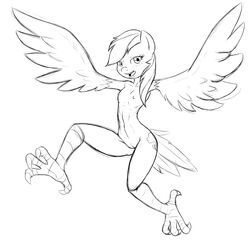 2015 animal_legs anthro anthrofied avian black_and_white blush breasts cutie_mark equine feathered_wings feathers female friendship_is_magic harpy hi_res hybrid mammal monochrome my_little_pony nipples nude pegasus poprocks pussy rainbow_dash_(mlp) small_breasts solo straight_hair wings