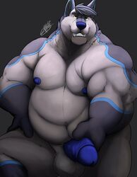 1boy 2016 anthro balls bi0wolf biceps black_background black_fur black_hair blue_fur blue_nipples blue_nose blue_penis canine front_view fur galvinwolf grey_fur hair hi_res holding_penis humanoid_penis looking_at_viewer male male_only mammal multicolored_fur muscular muscular_male nipples nude pecs penis retracted_foreskin signature simple_background slightly_chubby smile solo teeth uncut wolf yellow_eyes