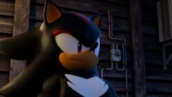 anal anal_sex anal_sex animated animation big_ass big_ass_(male) big_butt huge_ass huge_butt male_only no_sound sega shadow_the_hedgehog sonic_(series) tagme uncle_aiden video