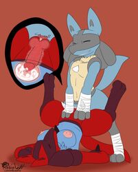 2016 alternate_color animal_genitalia animal_penis anthro canine_penis cum cum_in_pussy cum_in_uterus cum_inside erection female flat_colors knot knotting lucario male nintendo penis pokemon pokemon_(species) red_background redimplight selfcest sex simple_background spread_legs spreading straight tagme uterus video_games x-ray