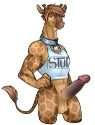 1boy anthro balls collar erection giraffe infected-ellis male male_only mammal penis solo whitney_(vader120)