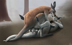 2016 anal anal_sex anatomically_correct anatomically_correct_penis balls closed_eyes emptyset feral feral_on_feral kangaroo kissing legs_up lying male male_only mammal marsupial on_back penetration penis spread_legs spreading yaoi