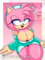 amy rose from sega by klaussaurio