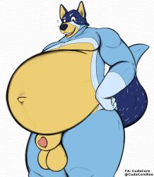 animal_genitalia balls bandit_heeler belly belly_inflation bloated bluey_(series) cudacore genitals hi_res inflation innie male mature_male navel pinup pose sheath slightly_chubby