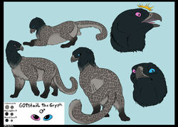 avian backlash91 backsack balls beak border color_swatch expressions feral gryphon heterochromia male model_sheet quadruped signature solo